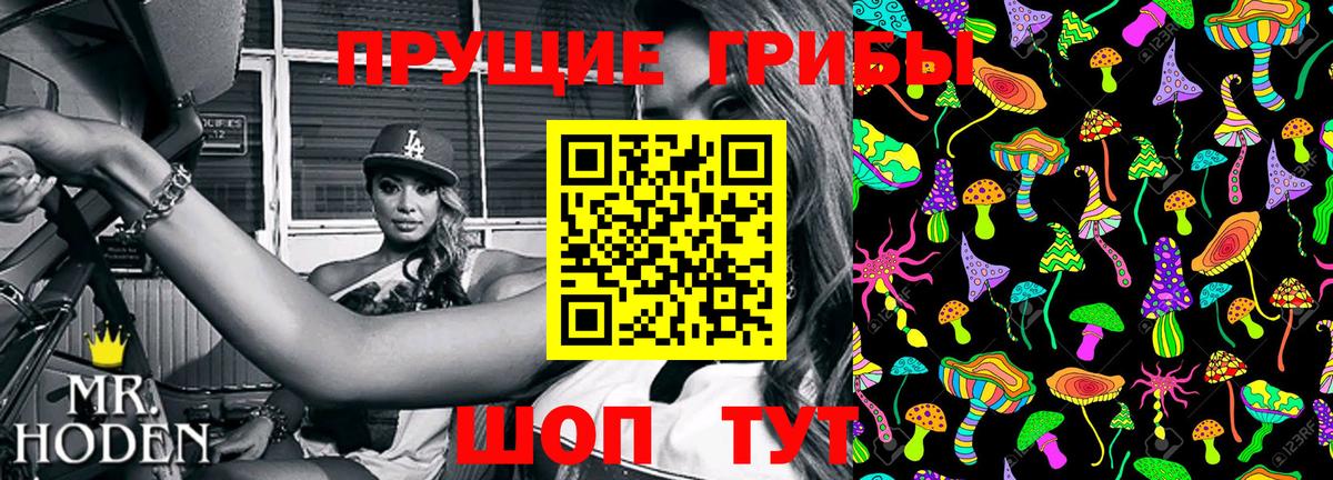 Псков  Псилоцибиновые грибы MAGIC MUSHROOMS  Вход с VPN 